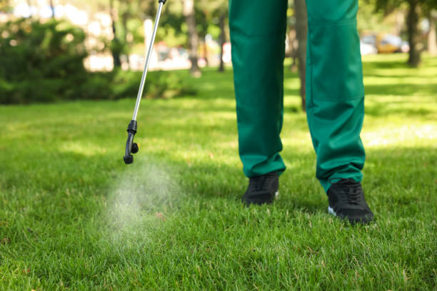 Best Bird Control  in Collierville, TN